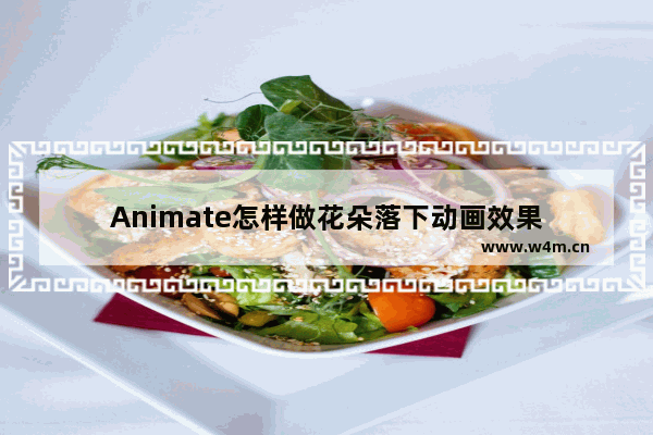 Animate怎样做花朵落下动画效果