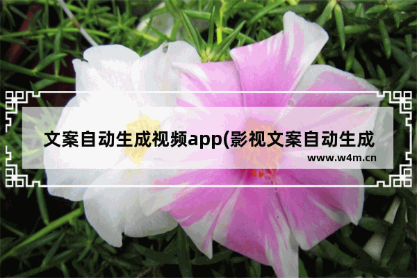 文案自动生成视频app(影视文案自动生成器)