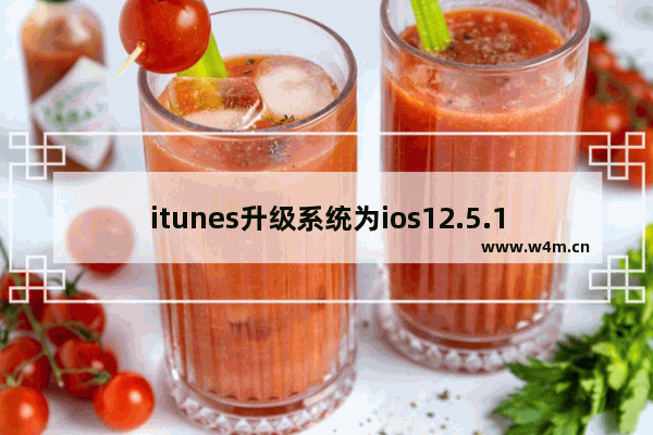 itunes升级系统为ios12.5.1教程分享