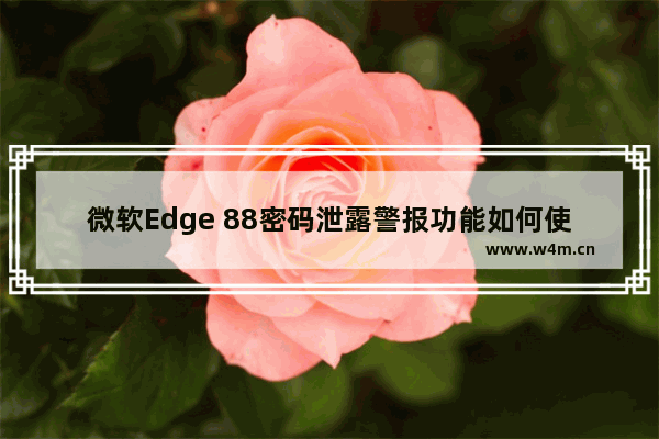 微软Edge 88密码泄露警报功能如何使用