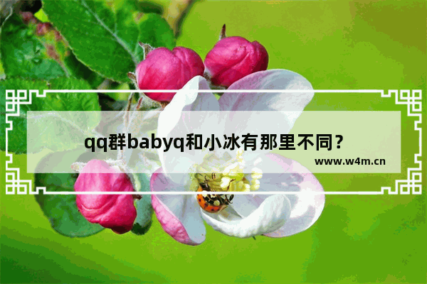 qq群babyq和小冰有那里不同？