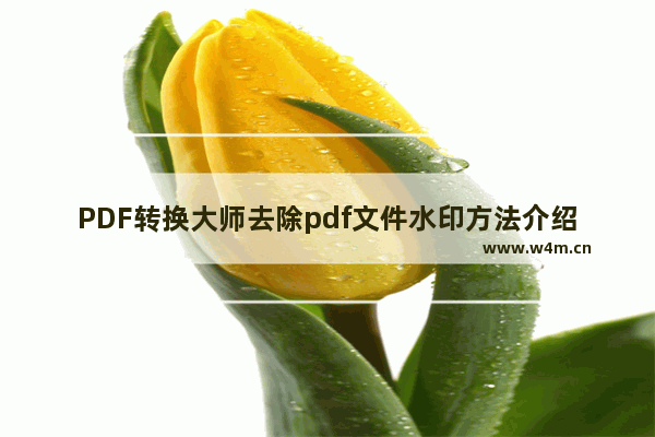 PDF转换大师去除pdf文件水印方法介绍