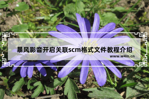 暴风影音开启关联scm格式文件教程介绍