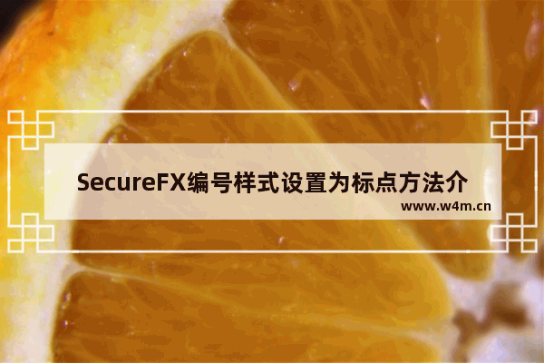 SecureFX编号样式设置为标点方法介绍