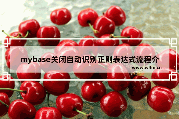 mybase关闭自动识别正则表达式流程介绍