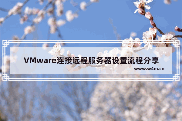 VMware连接远程服务器设置流程分享