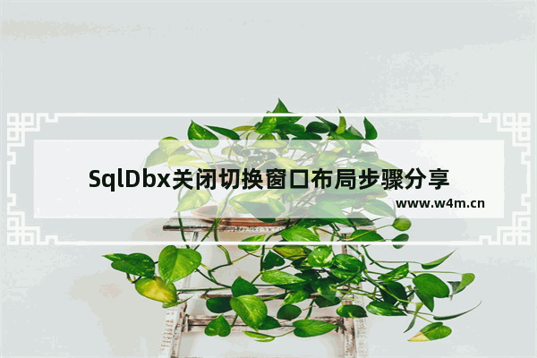 SqlDbx关闭切换窗口布局步骤分享