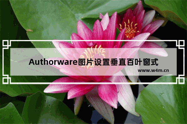 Authorware图片设置垂直百叶窗式特效步骤分享