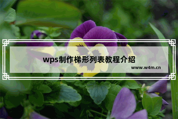 wps制作梯形列表教程介绍