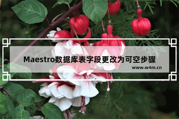 Maestro数据库表字段更改为可空步骤分享