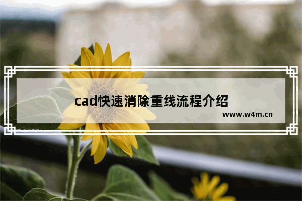 cad快速消除重线流程介绍