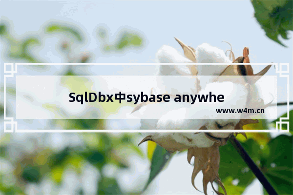 SqlDbx中sybase anywhere自动提交启用步骤分享