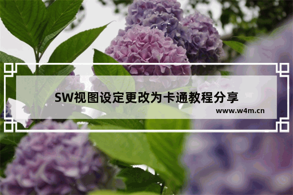 SW视图设定更改为卡通教程分享