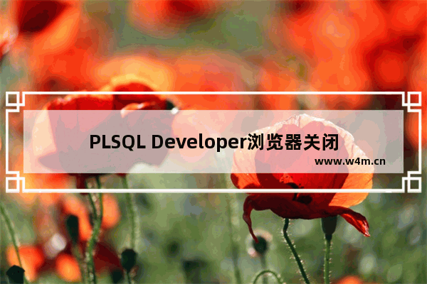 PLSQL Developer浏览器关闭显示数据类型步骤介绍