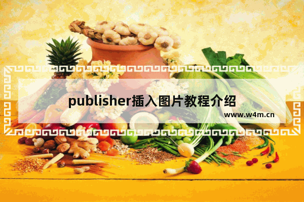 publisher插入图片教程介绍