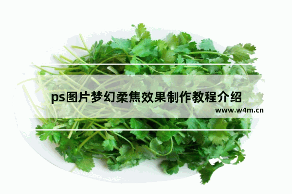 ps图片梦幻柔焦效果制作教程介绍