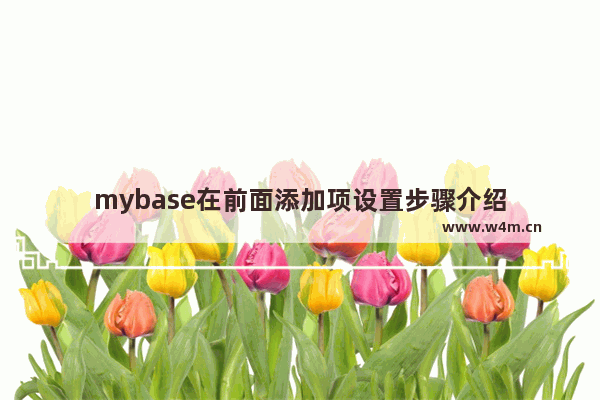 mybase在前面添加项设置步骤介绍