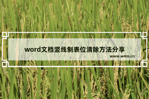 word文档竖线制表位清除方法分享