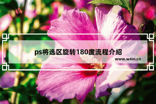 ps将选区旋转180度流程介绍