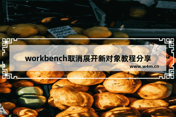 workbench取消展开新对象教程分享