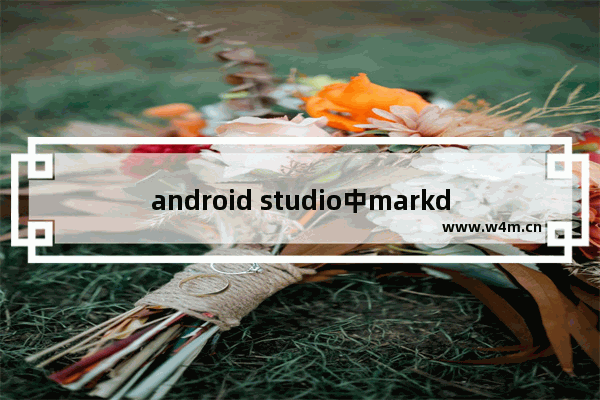 android studio中markdown插件安装步骤介绍