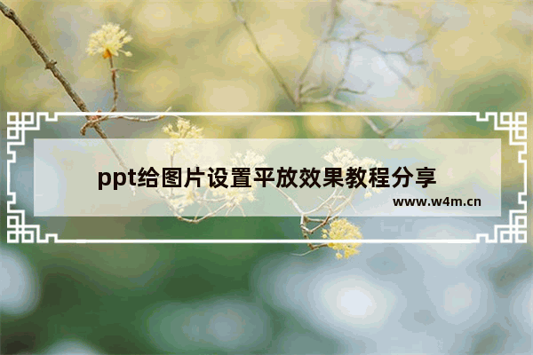 ppt给图片设置平放效果教程分享