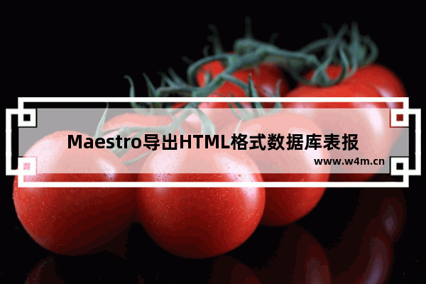 Maestro导出HTML格式数据库表报告教程分享