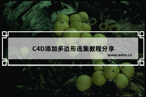 C4D添加多边形选集教程分享