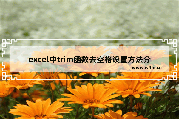 excel中trim函数去空格设置方法分享