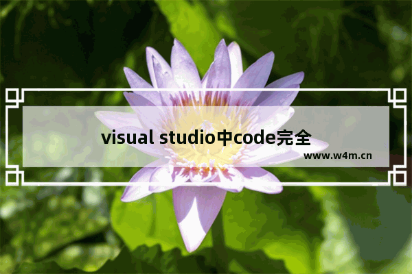 visual studio中code完全汉化教程分享