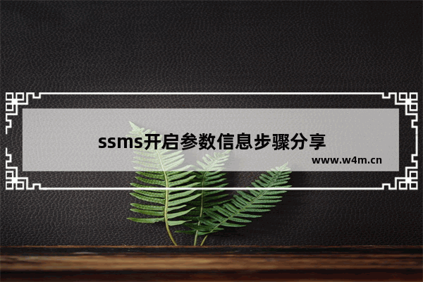 ssms开启参数信息步骤分享