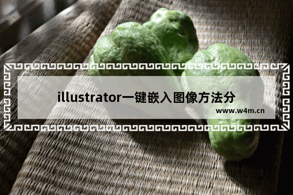 illustrator一键嵌入图像方法分享