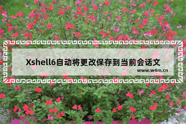 Xshell6自动将更改保存到当前会话文件启用方法介绍