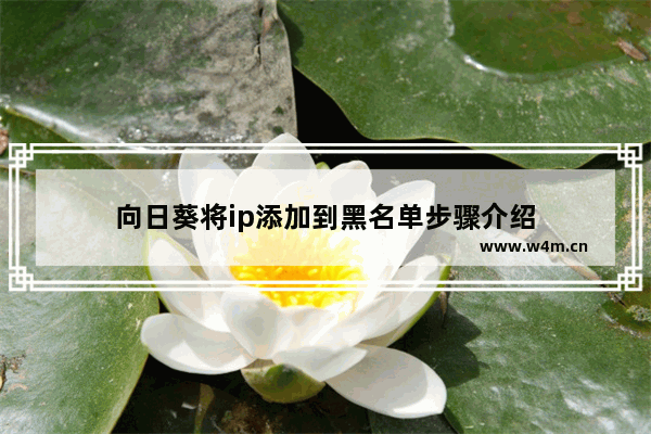 向日葵将ip添加到黑名单步骤介绍