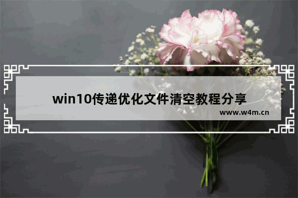 win10传递优化文件清空教程分享