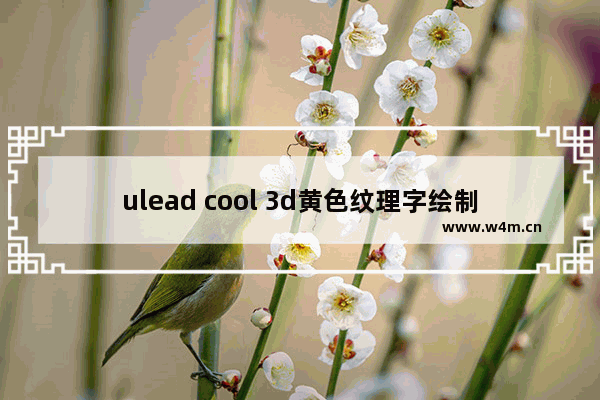 ulead cool 3d黄色纹理字绘制方法分享