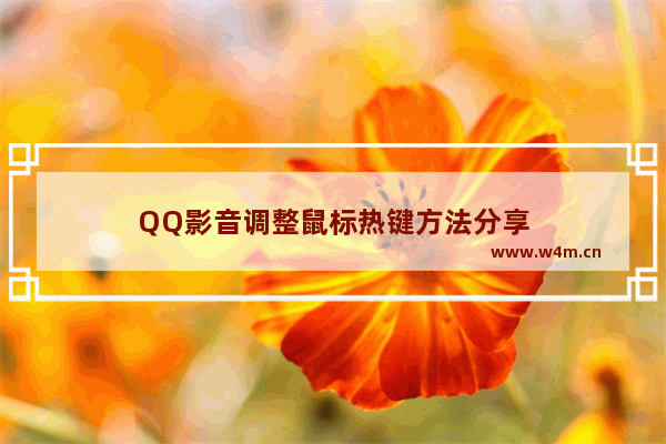 QQ影音调整鼠标热键方法分享