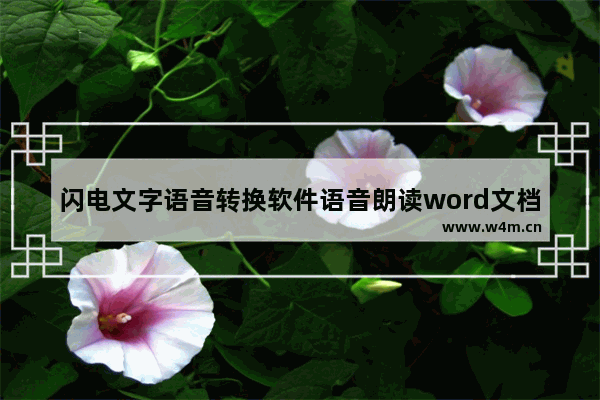 闪电文字语音转换软件语音朗读word文档设置教程介绍