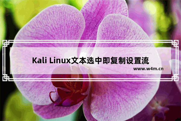 Kali Linux文本选中即复制设置流程介绍