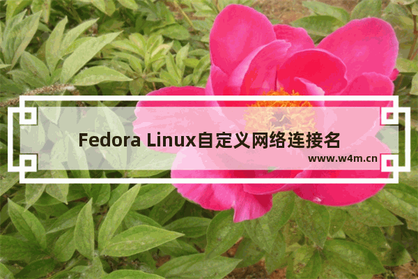 Fedora Linux自定义网络连接名称方法分享