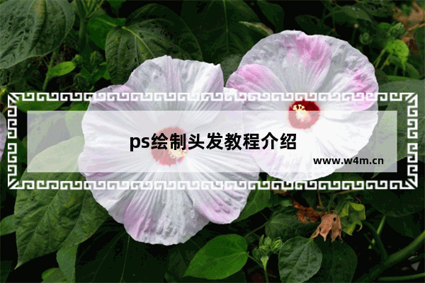 ps绘制头发教程介绍