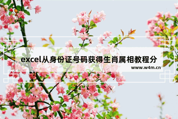 excel从身份证号码获得生肖属相教程分享