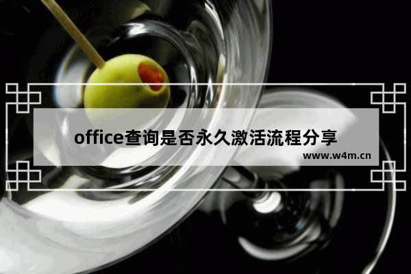 office查询是否永久激活流程分享