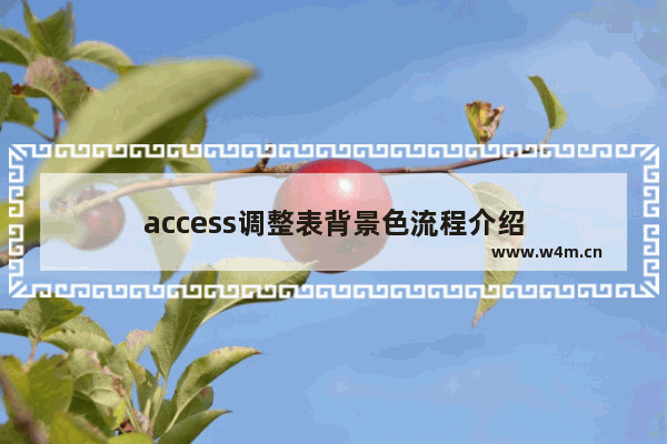 access调整表背景色流程介绍