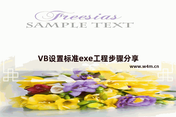 VB设置标准exe工程步骤分享