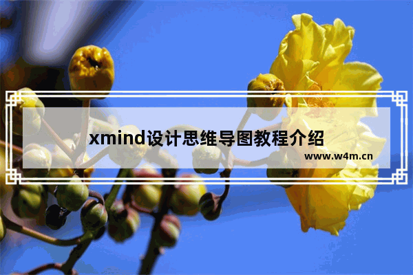 xmind设计思维导图教程介绍