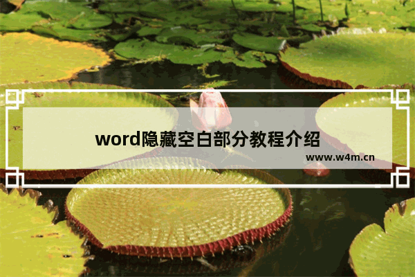 word隐藏空白部分教程介绍