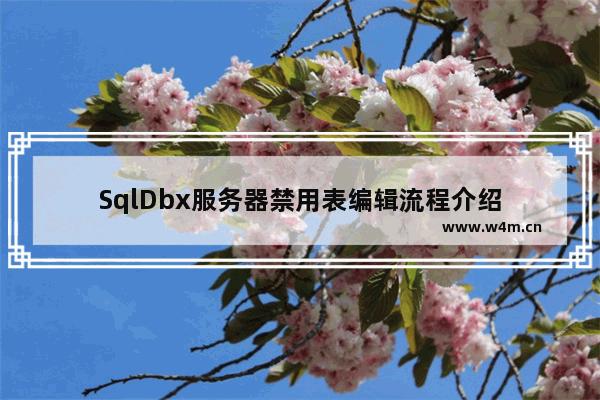 SqlDbx服务器禁用表编辑流程介绍