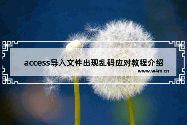 access导入文件出现乱码应对教程介绍