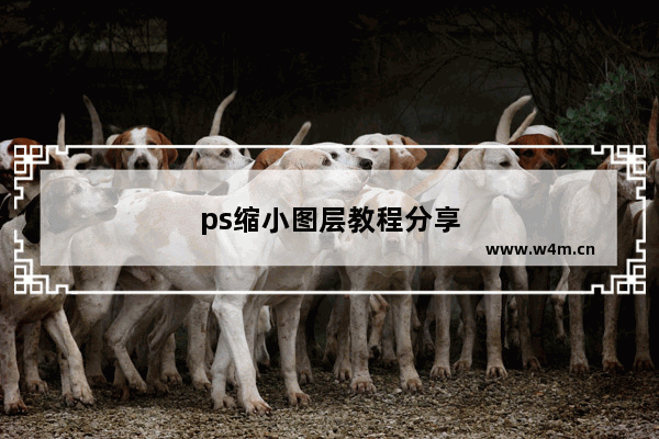 ps缩小图层教程分享